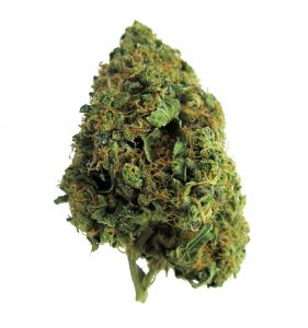 best marijuana in Denver
